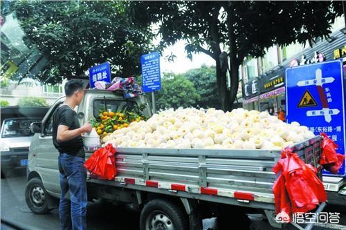 想买一辆小货车出去卖水果，你觉得怎么样？