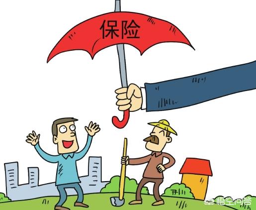 中国人寿全家福保险包括哪些？