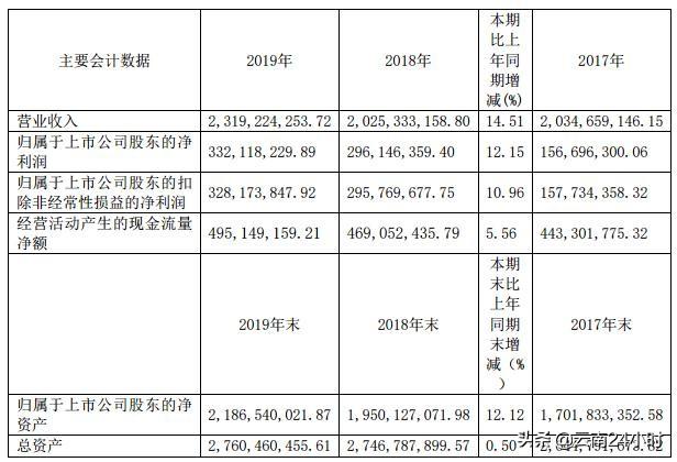 文山电力2019年业绩如何？