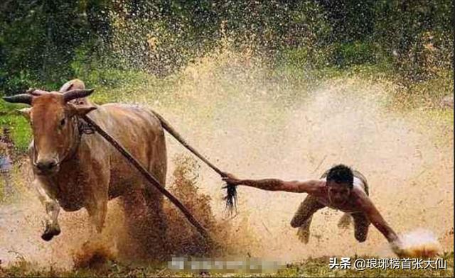 这两天股市为什么暴涨？后期怎么看？