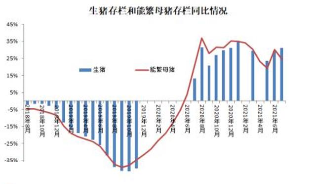 2021年腊月，猪肉价格能跌到一斤10块钱以下吗？