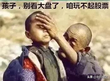 基金的行情目前如何？