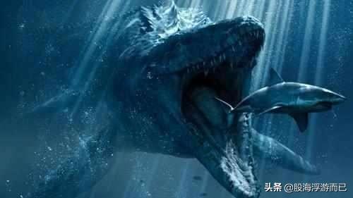 股票的本质是什么？