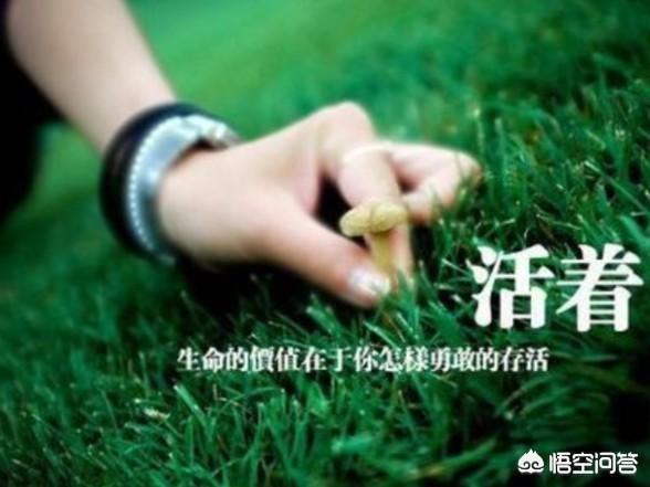 请问股票可以长期持有么？
