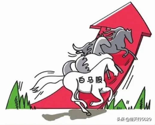 在股市里长期持有一支股票，能赚到钱吗？
