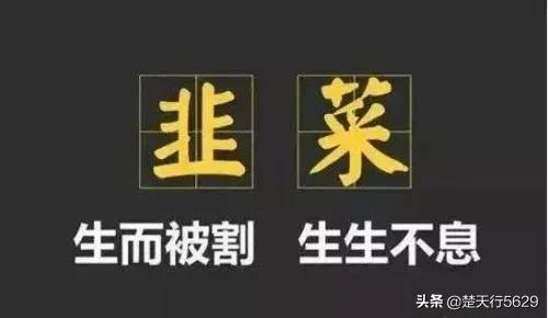股票这样炒来炒去，有人赚钱，有人赔钱。股票的意义在什么地方？